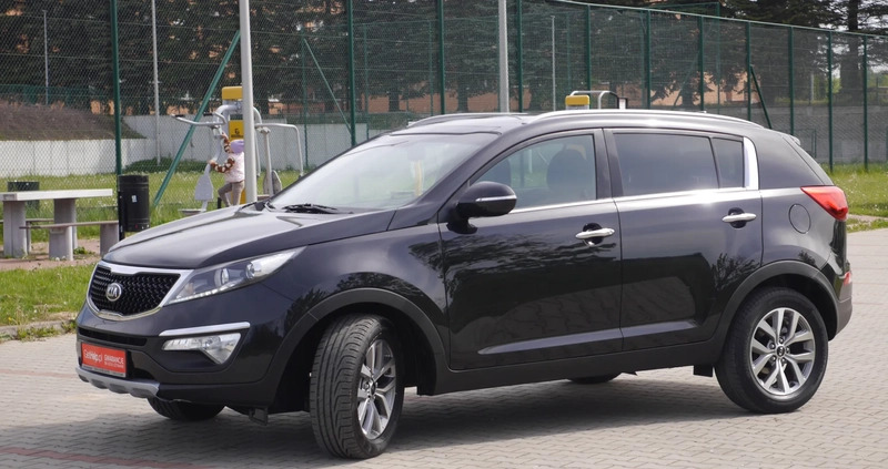 Kia Sportage cena 48900 przebieg: 117000, rok produkcji 2015 z Starachowice małe 781